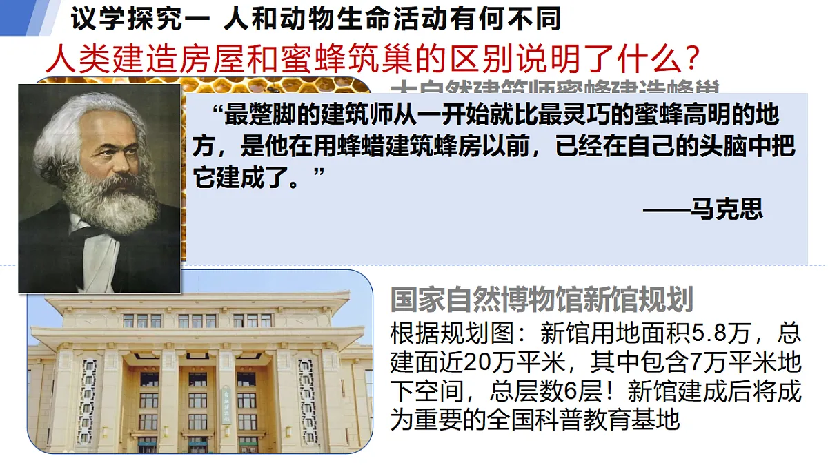 17632328第6页