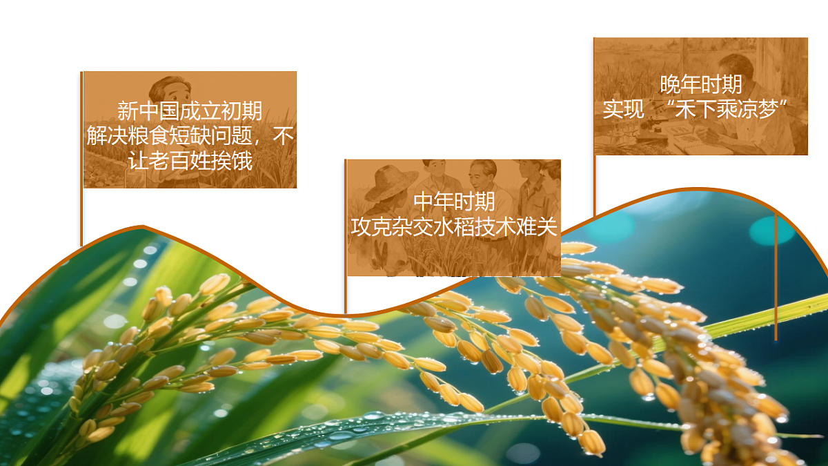 17632332第4页