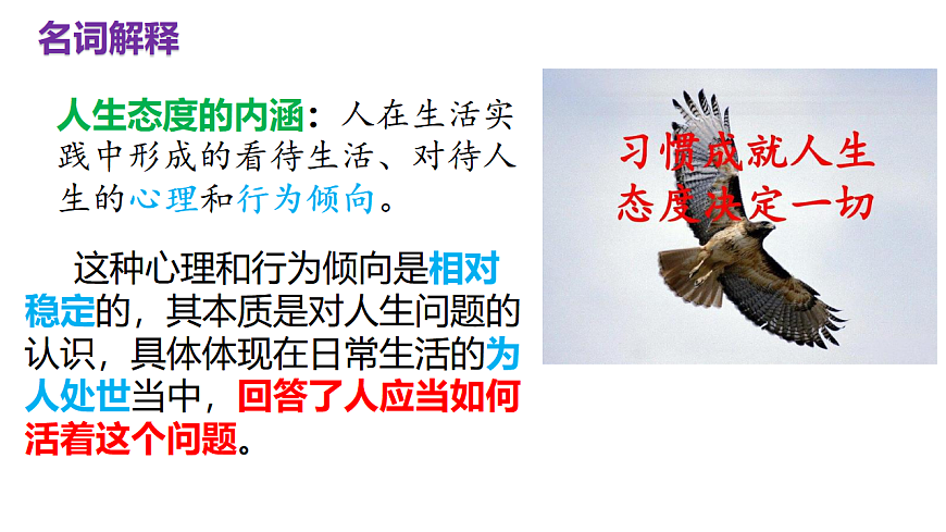 17632334第7页