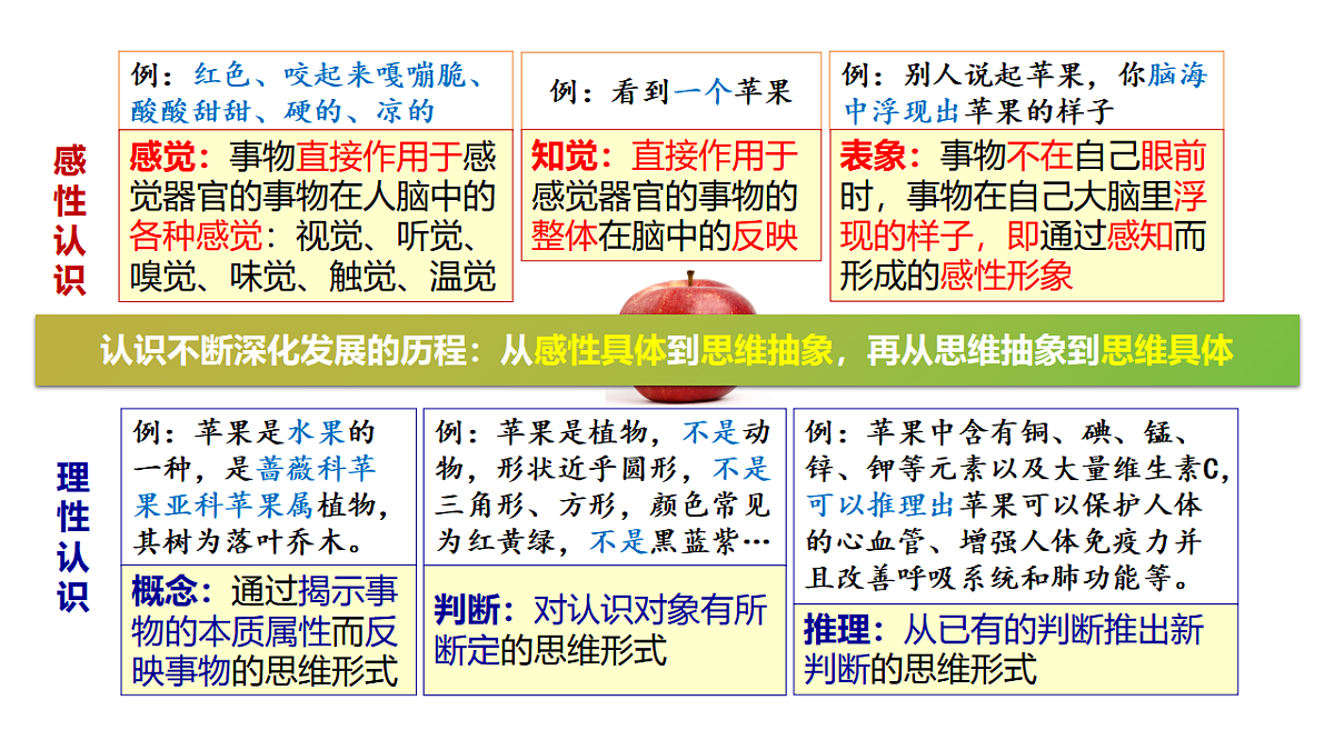 17632630第7页