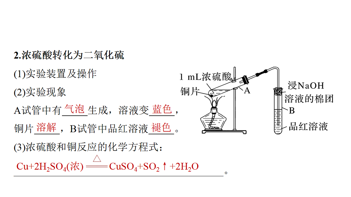 17632652第5页
