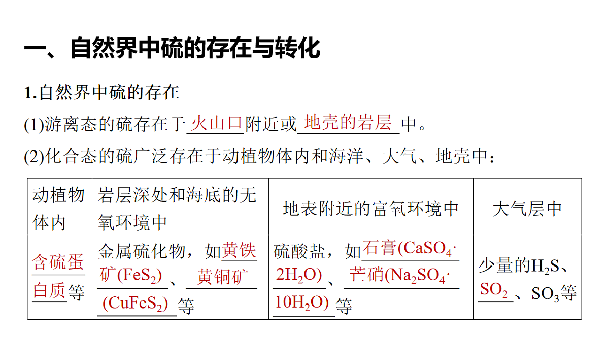 17632654第3页