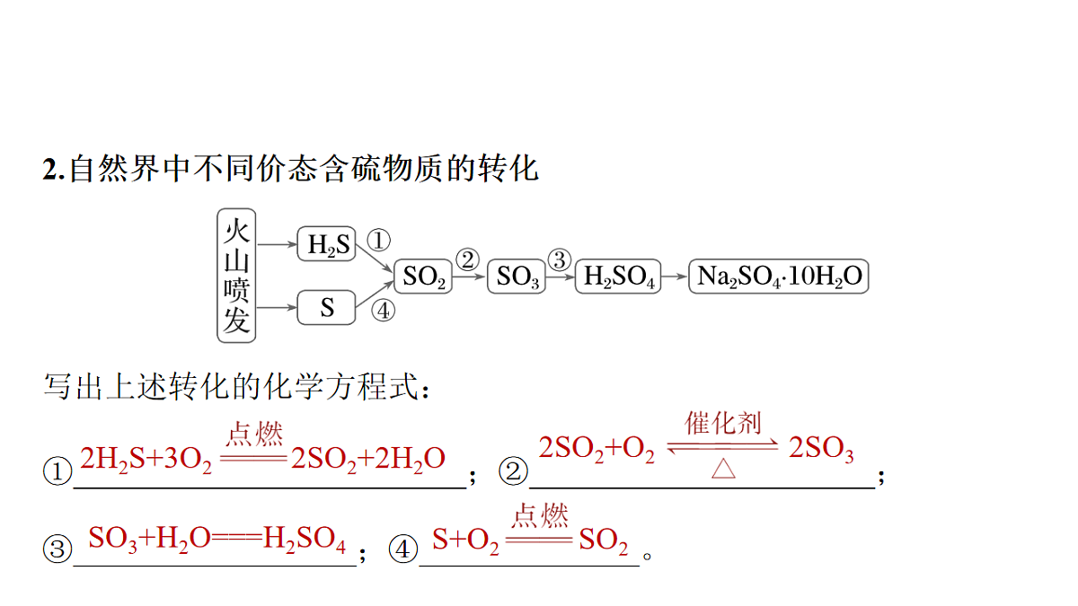 17632654第4页