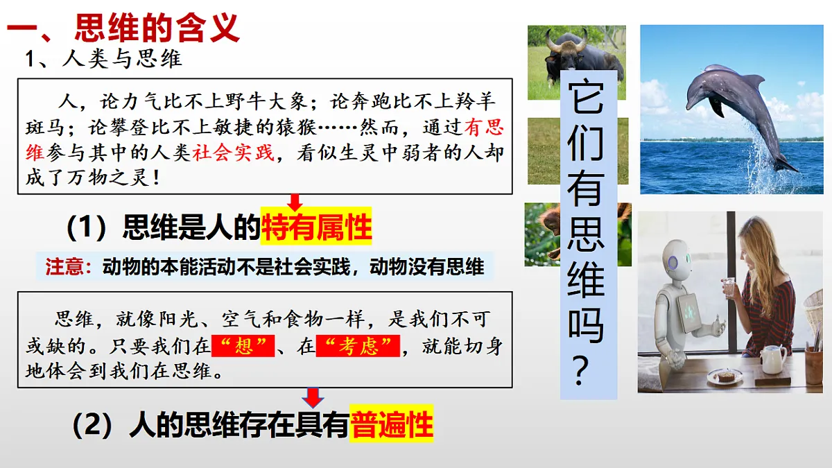 17632689第5页