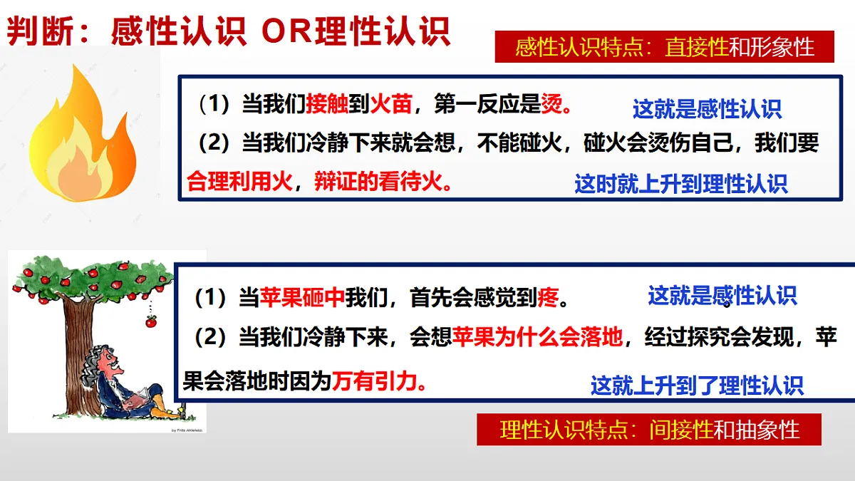 17632689第7页