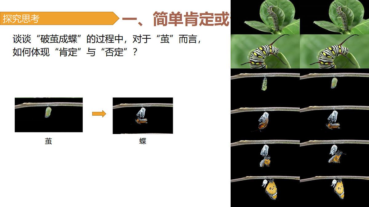 17632752第4页