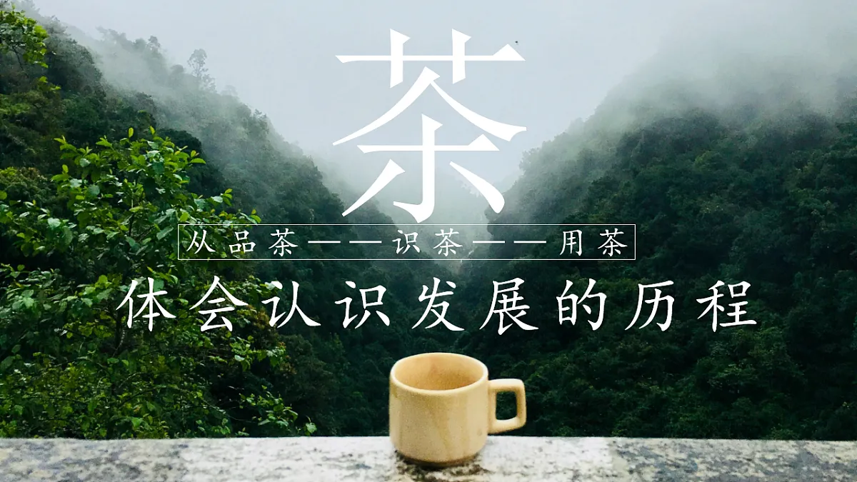 17632754第1页
