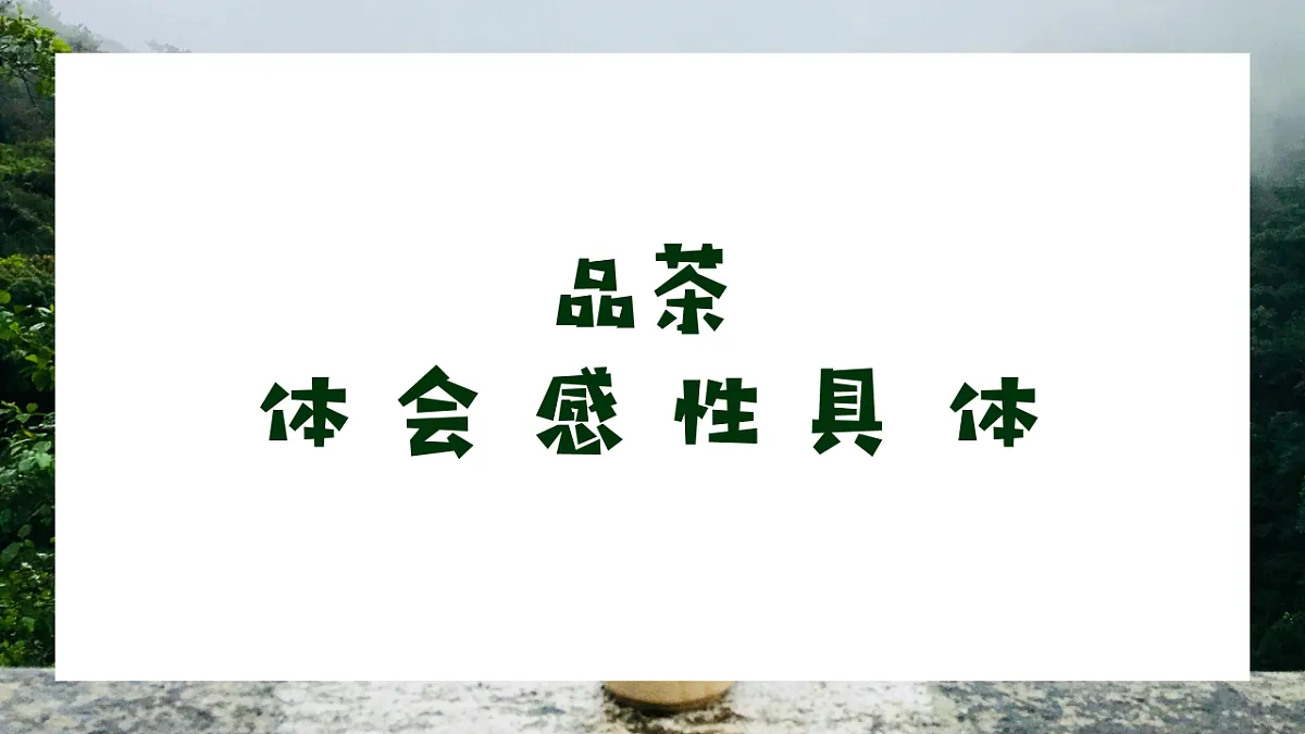 17632754第2页