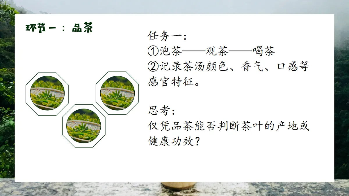 17632754第3页