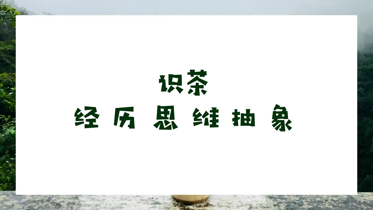 17632754第5页