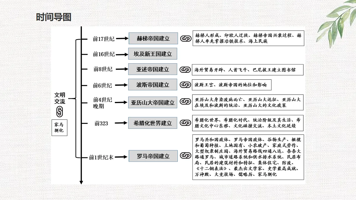 17632797第3页
