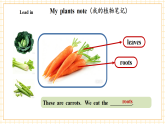 【新教材核心素养】pep版英语五上Unit 5 Food we eat Part B Read and write&PartC 课件+教案+素材