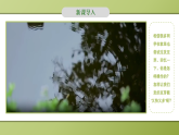 人教版初中生物七年级下册3.1.1种子的萌发 课件+教案