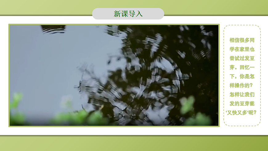 人教版初中生物七年级上册 3.1.1 种子的萌发 课件第5页