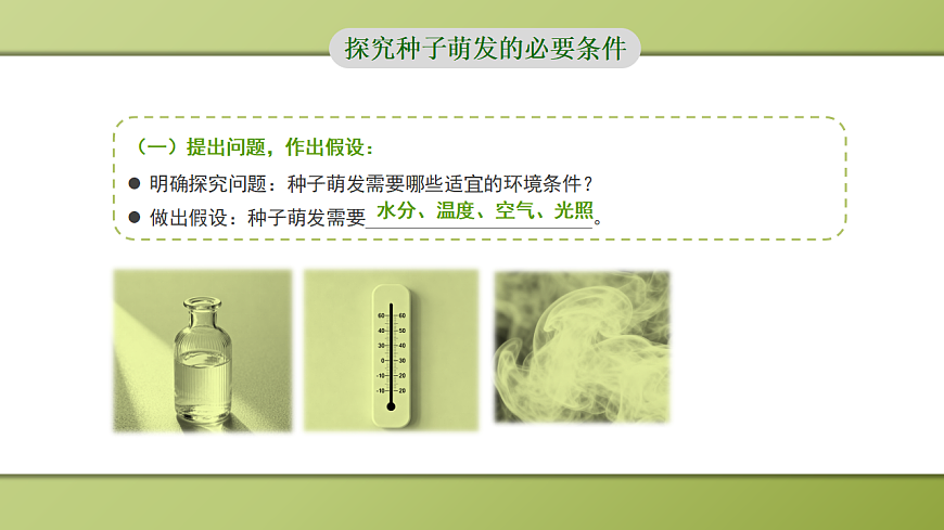 人教版初中生物七年级上册 3.1.1 种子的萌发 课件第6页