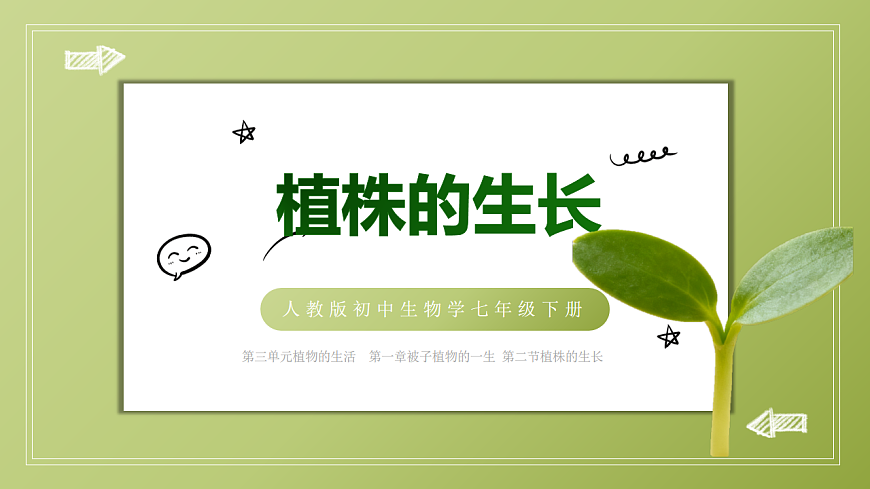 人教版初中生物七年级下册 3.1.2 植株的生长 课件第1页