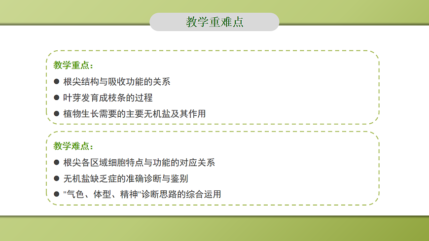 人教版初中生物七年级下册 3.1.2 植株的生长 课件第4页