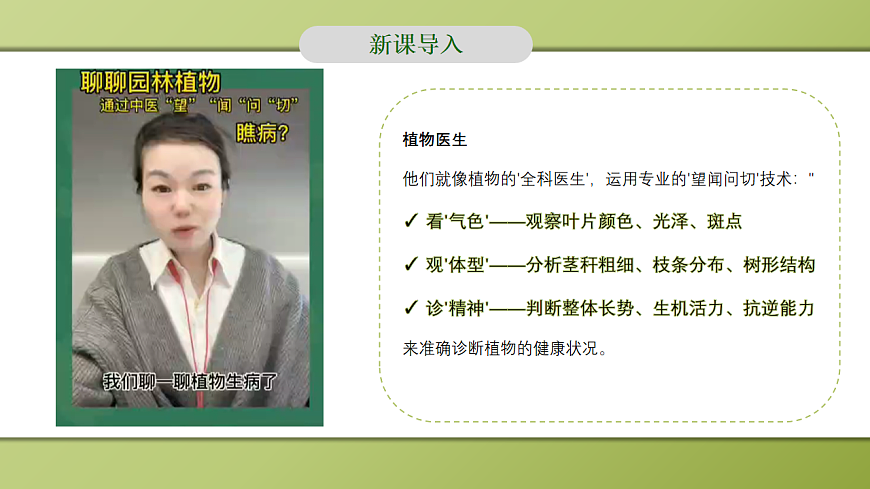 人教版初中生物七年级下册 3.1.2 植株的生长 课件第5页