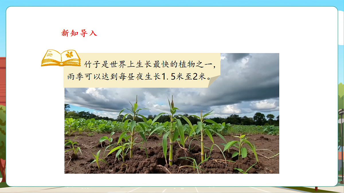 7.5《竹子的生长》（课件）第4页