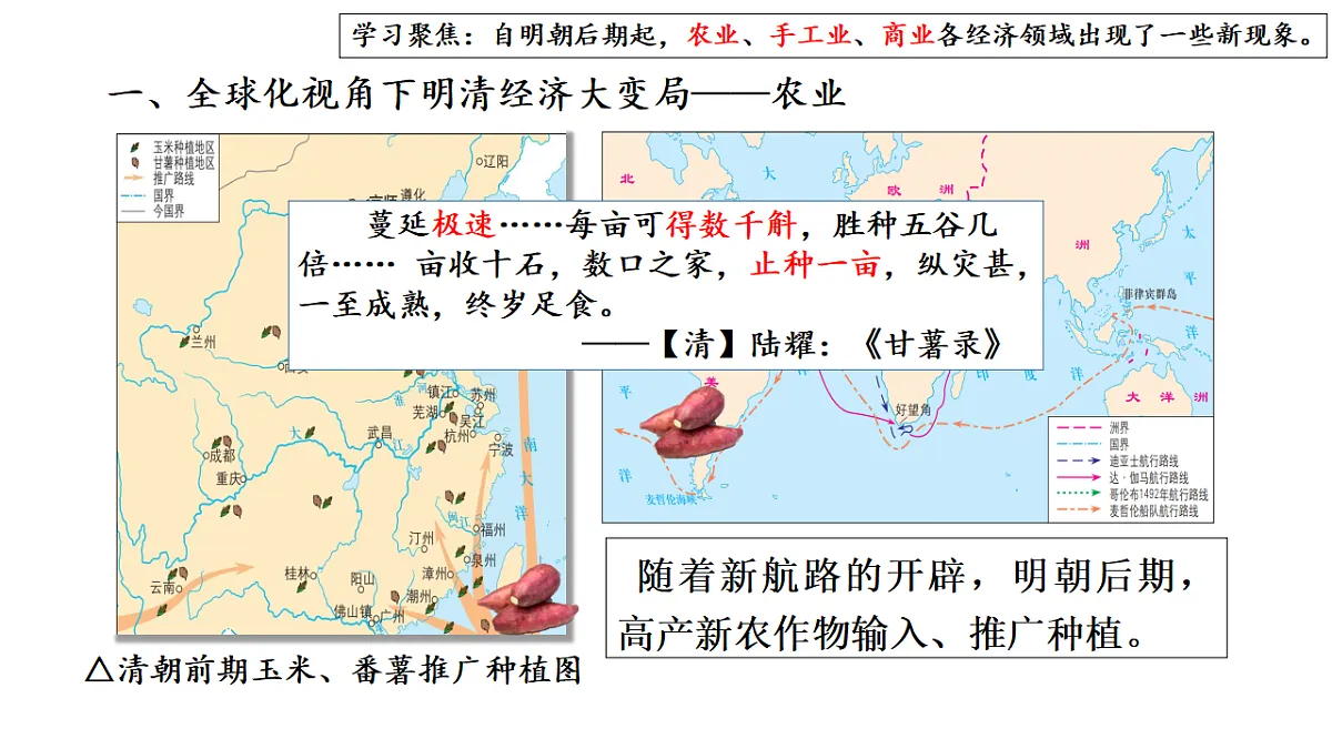 17637308第2页