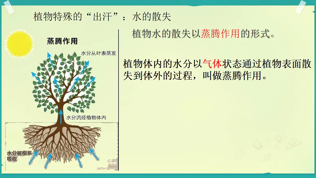 17639540第4页