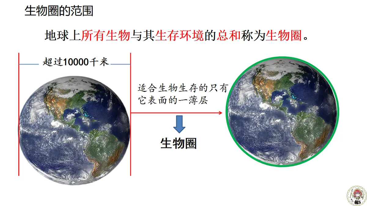 17640775第3页