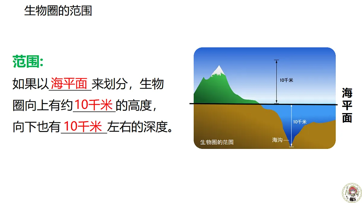 17640775第4页