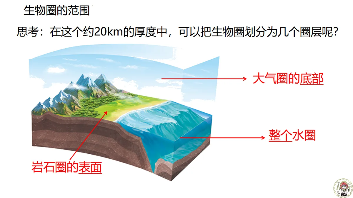 17640775第5页