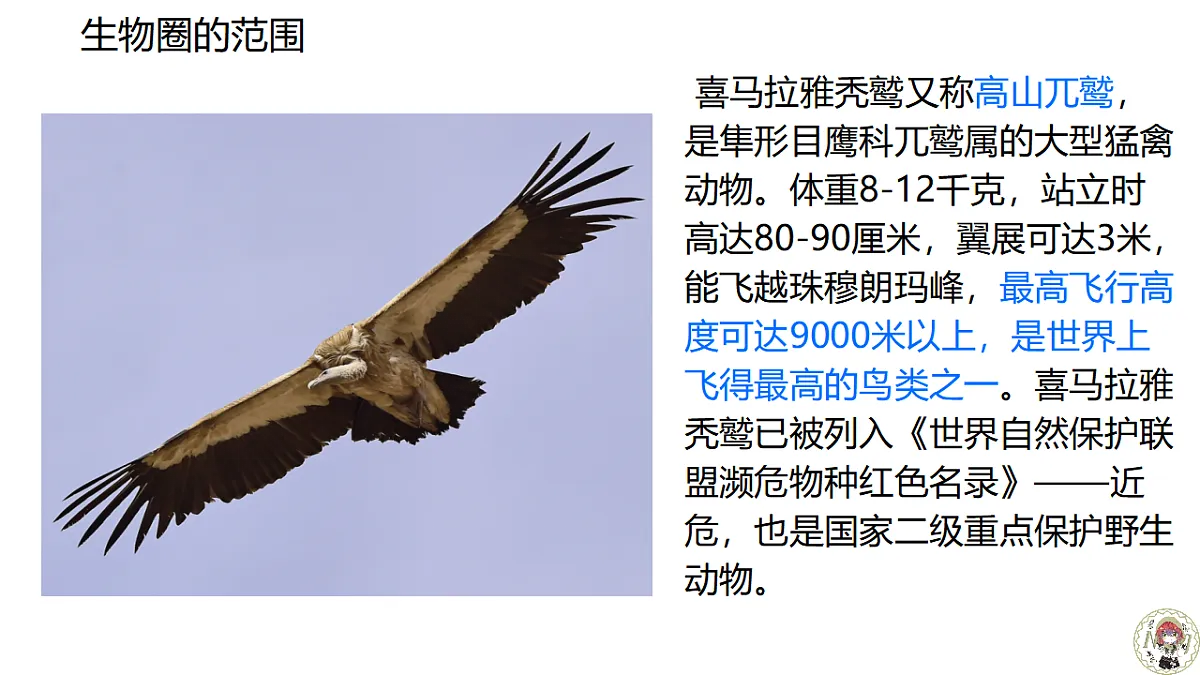17640775第7页