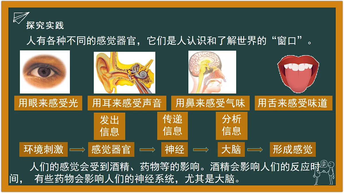 17641324第5页