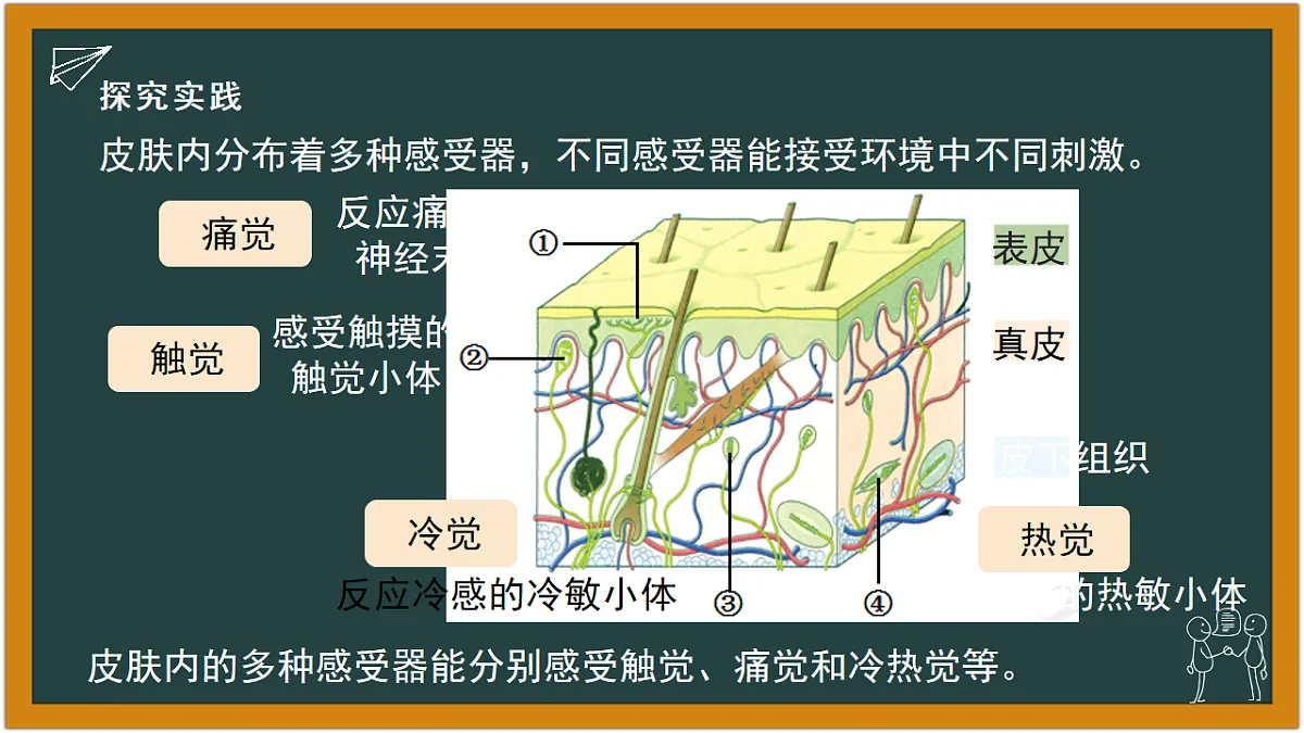 17641324第7页