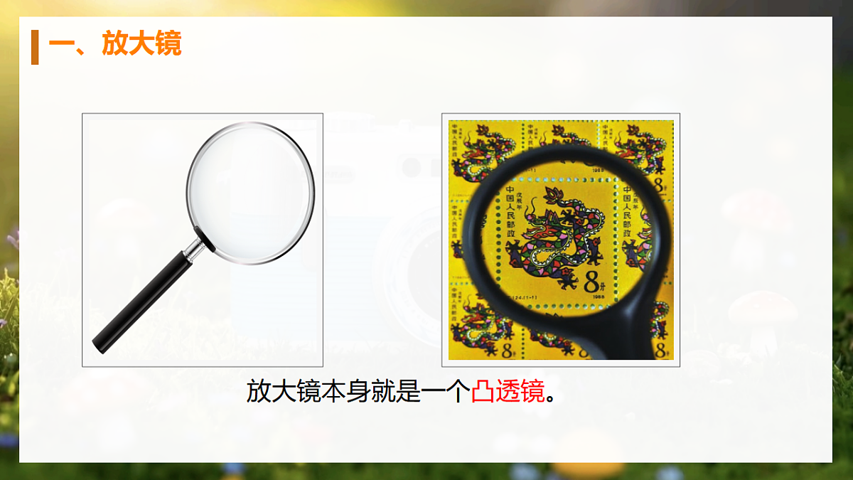 17641874第4页