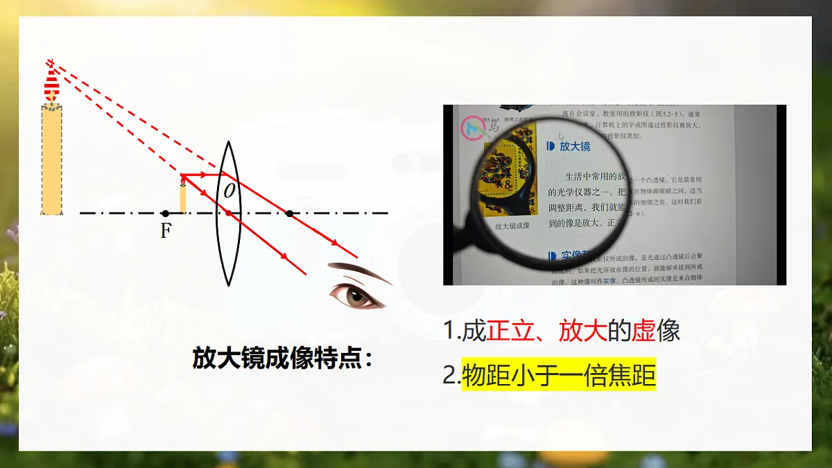 17641874第5页