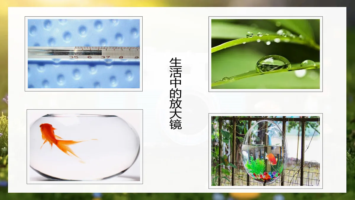 17641874第7页