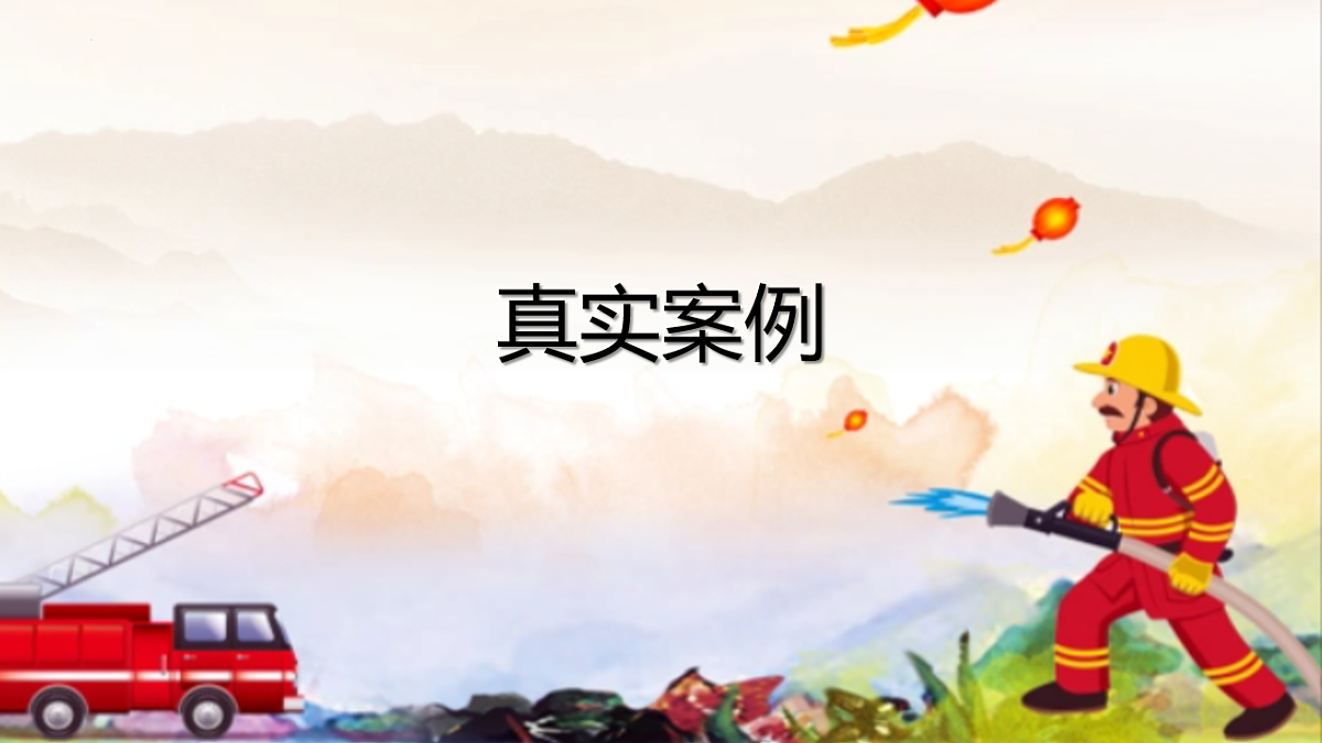 17643188第3页