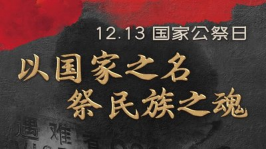 17643197第2页