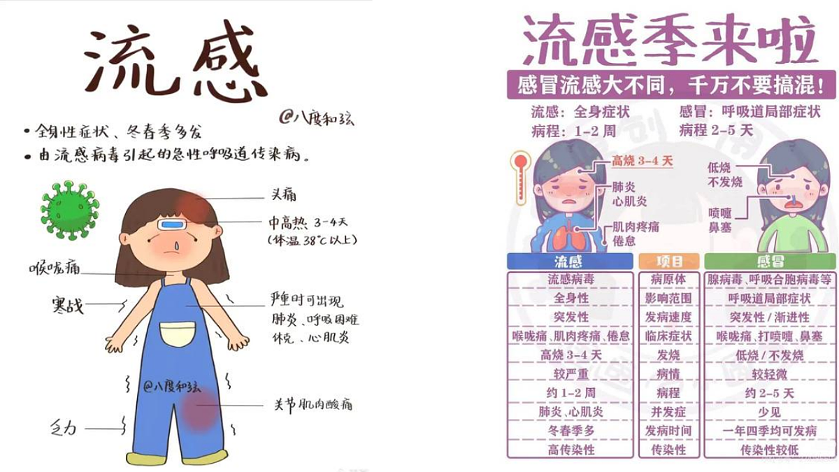 17643201第5页
