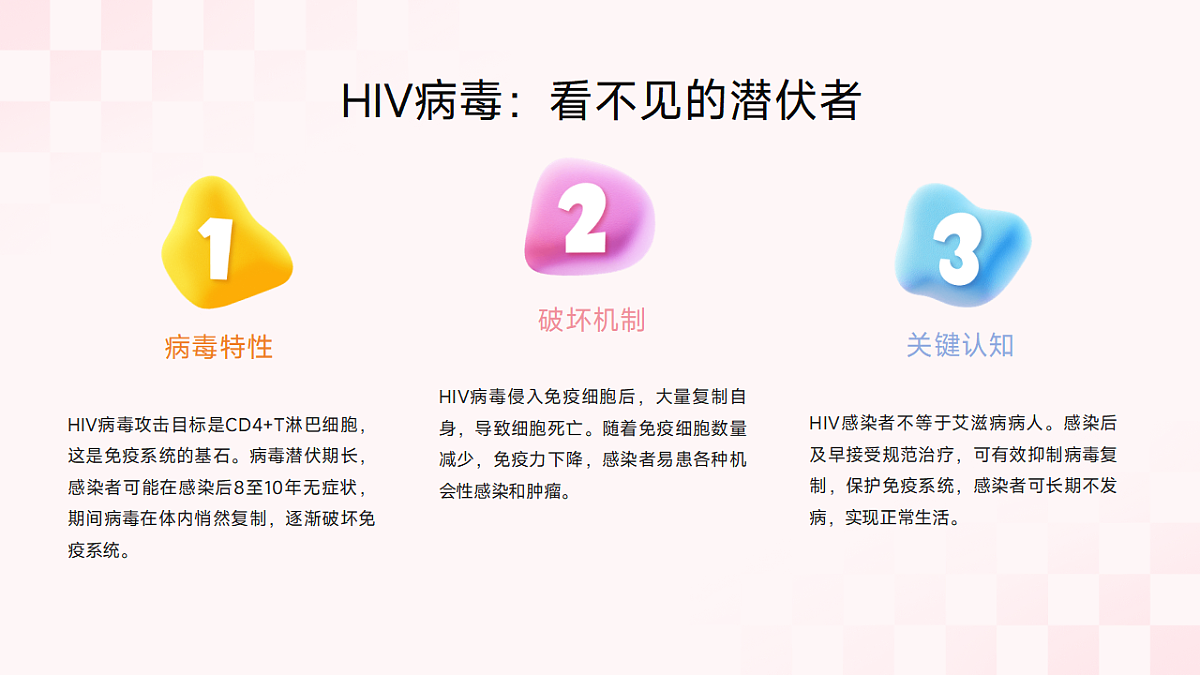17643204第5页