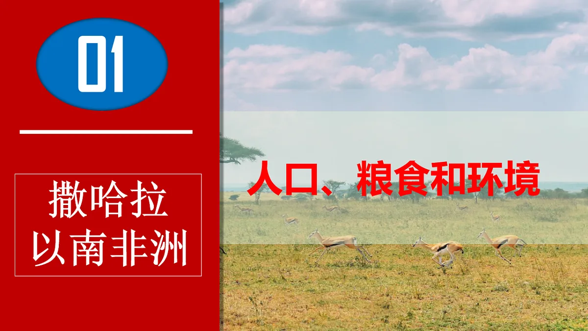 17643362第4页