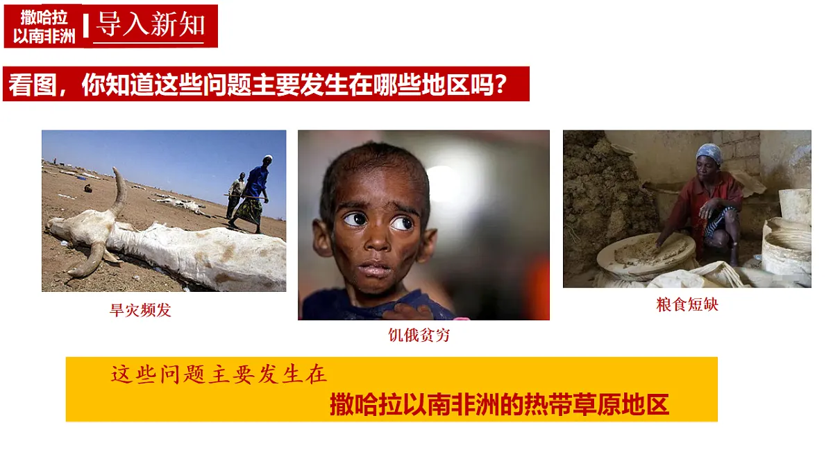 17643362第5页