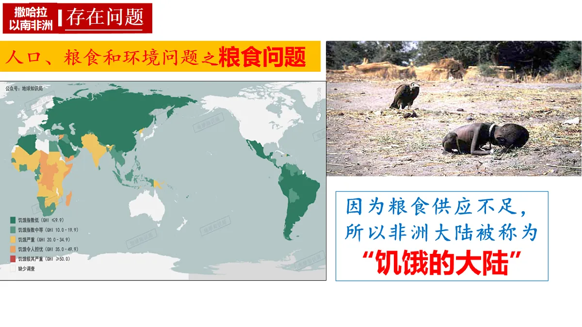 17643362第6页