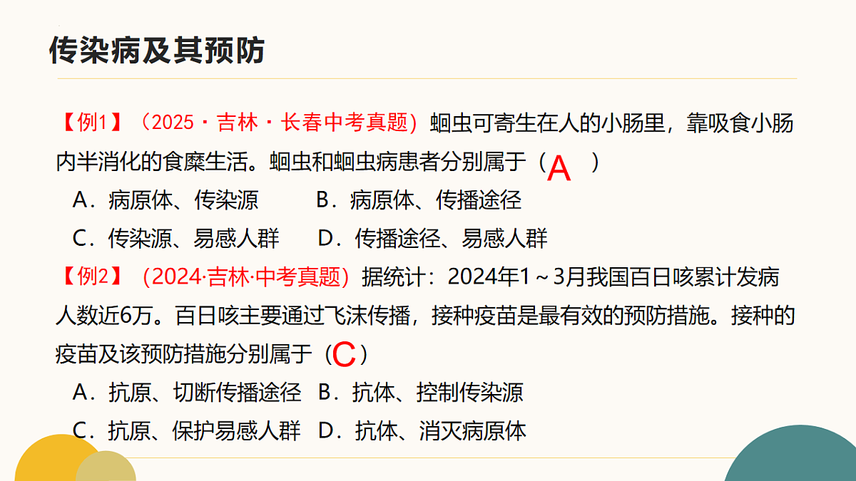 17643498第5页