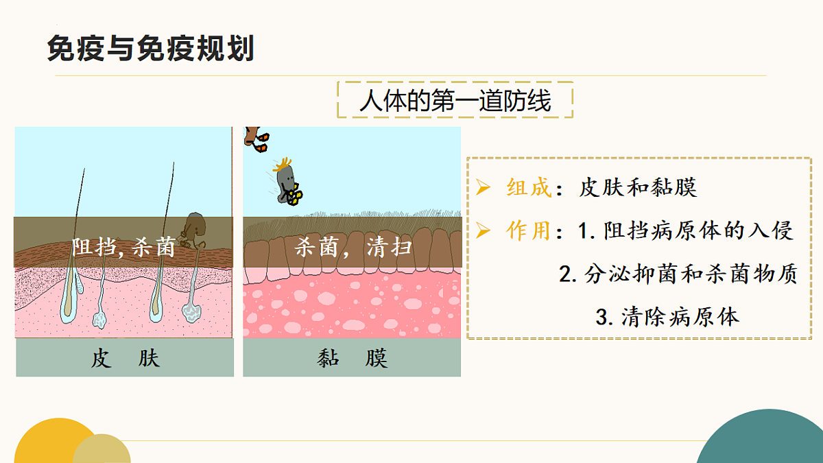 17643498第8页