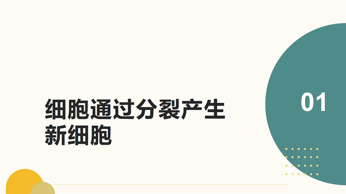 17643501第3页