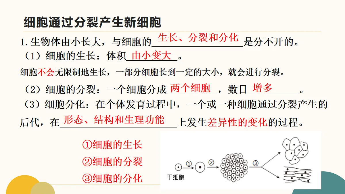 17643501第4页