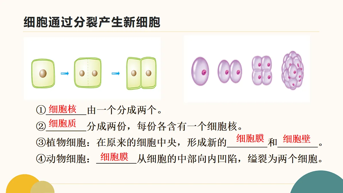 17643501第5页