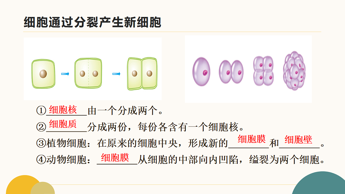 17643501第5页
