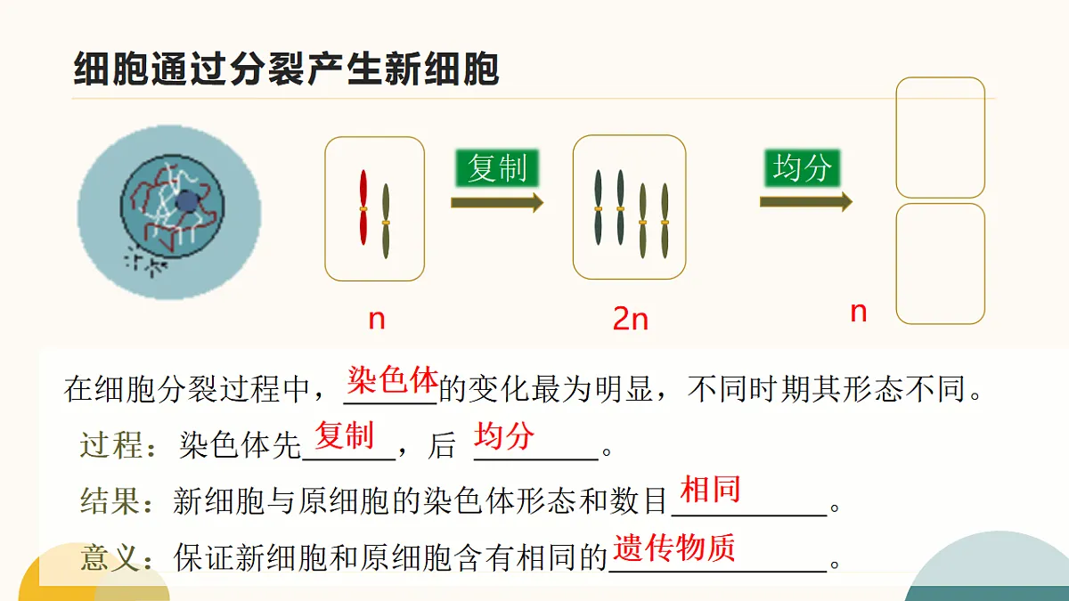 17643501第7页