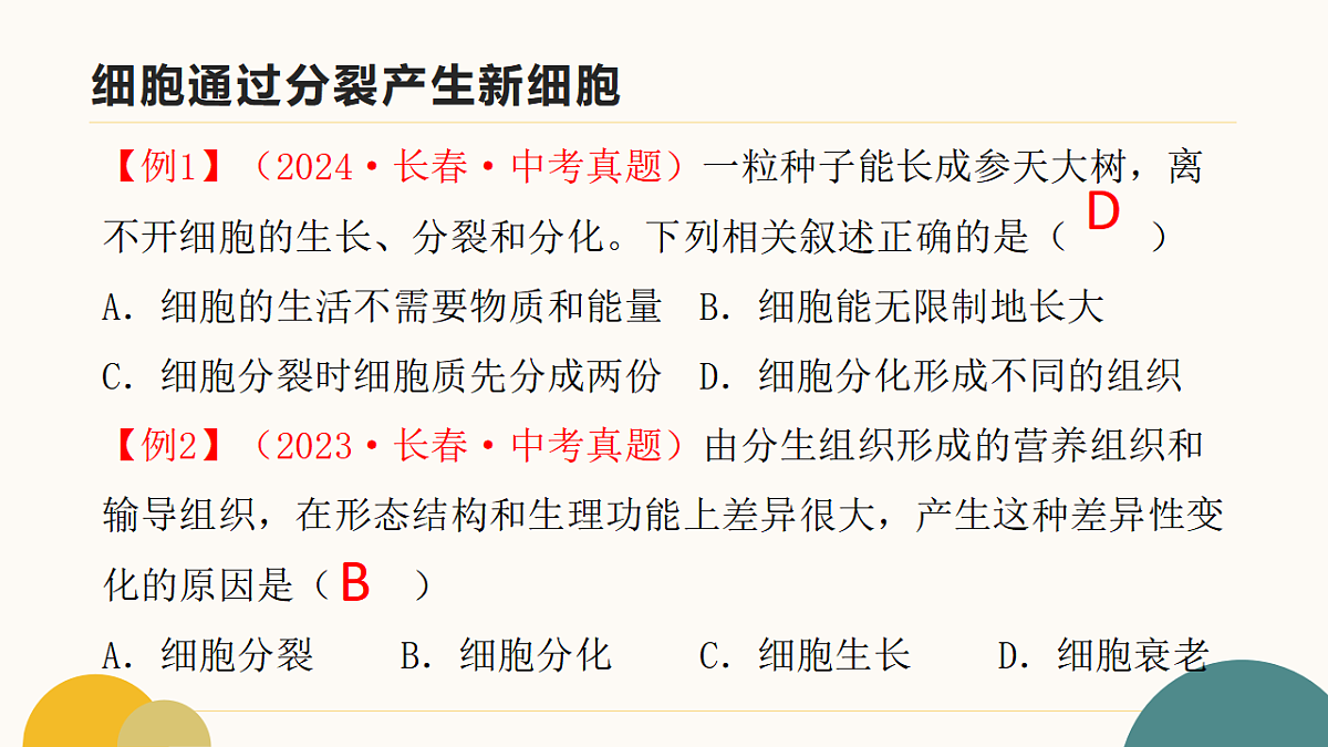 17643501第8页