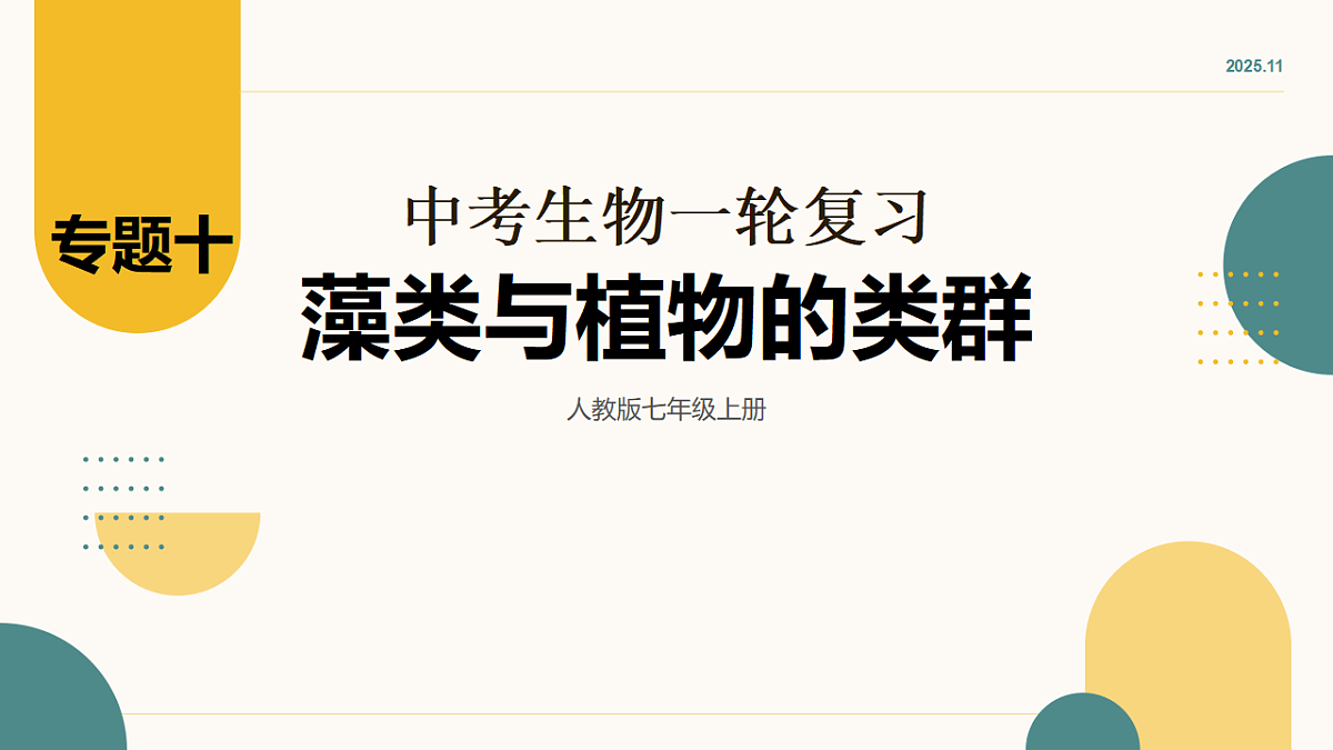 17643505第1页